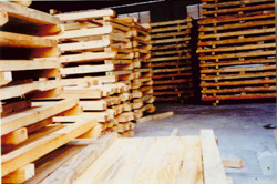 ��(y��u)�|(zh��)ɼľ䏲Ĵ�������(y��ng)��Ԕ��(x��)��B