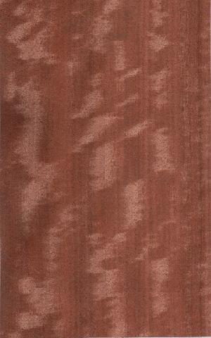 ��Ӱ������ľƤ(ֱ�y) Makore (Q)��Ԕ��(x��)��B