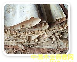 �������sľо�壮�ΰ��Ԕ����B