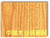 ���Ἀ��Ԕ��(x��)��B