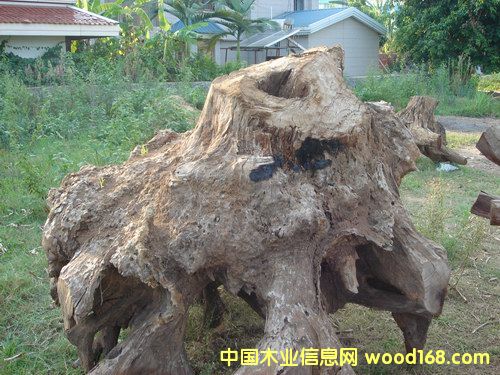 ����ľ���A��Ԕ��(x��)��B