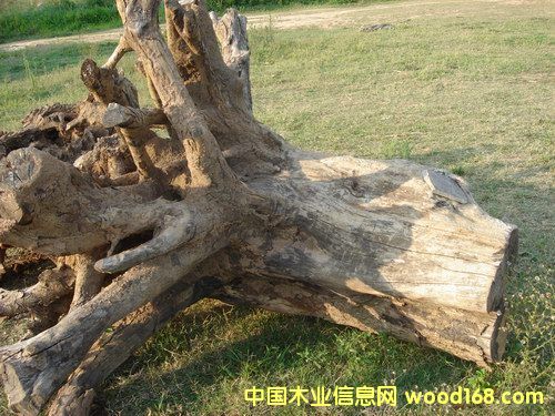 ����ľ���B��Ԕ��(x��)��B