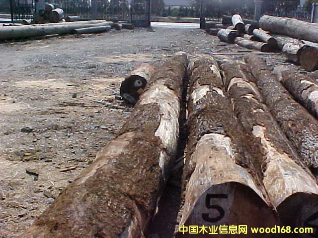 ����ľ�ĵ�Ԕ��(x��)��B