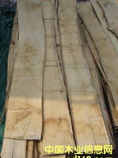 �����ĵ�Ԕ����B