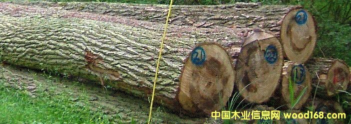 ��ľԭľ��Ԕ����B