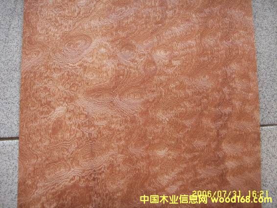 ����ɳ����ľƤ��Ԕ��(x��)��B