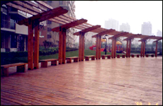 ̿��ľ��Ԕ��(x��)��B