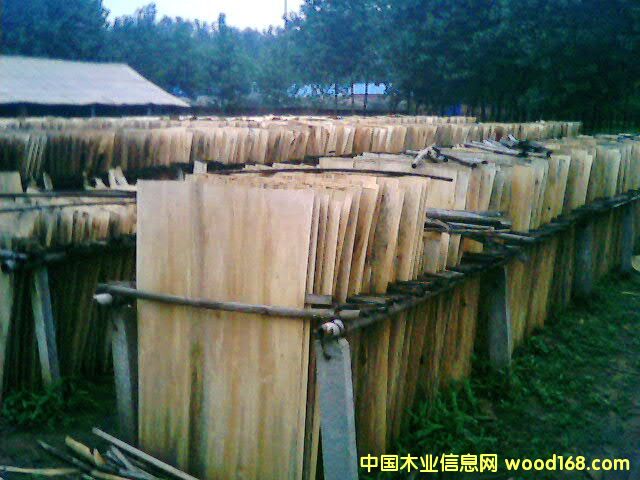 �ΰ��Ԕ��(x��)��B