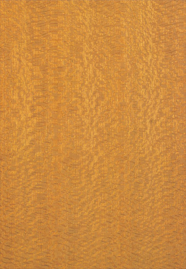 ����-��������