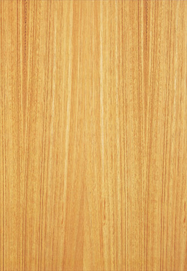 ����-�ȼ����N���