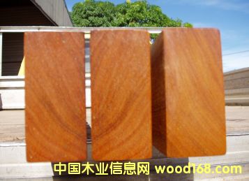 ӡ��ľ��Ԕ��(x��)��B