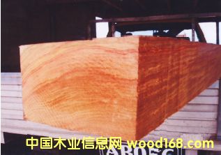 �tľ��Ԕ��(x��)��B