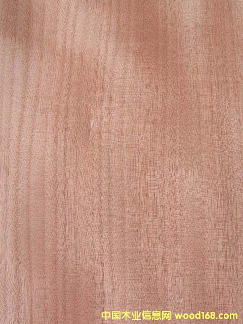 �t����ֱ�y��Ԕ��(x��)��B