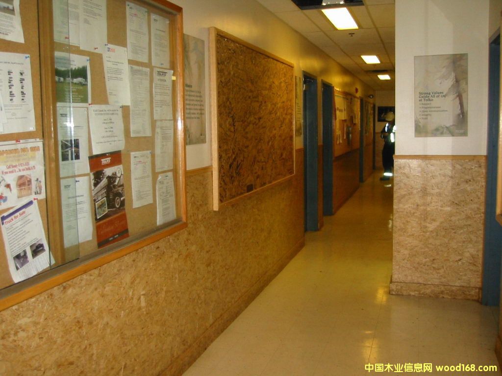 �����ٻ���-���b��ľ���бP��Ԕ����B