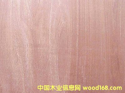 ������ľ����Ԕ����B