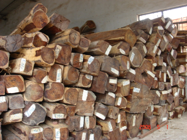 ��t��֦��Ԕ����B