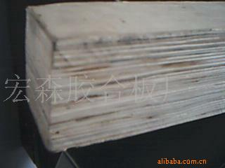 ���ڰ��b�估�ϱP���ö��Ӱ�l�������|��