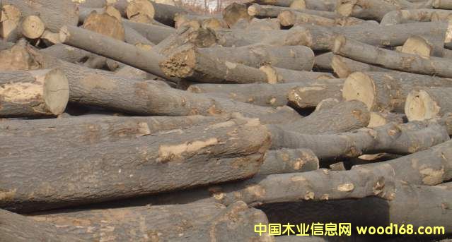 ͩľƴ���Ԕ����B