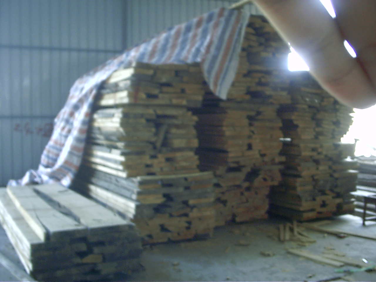 ��ľ�ɰ�ĵ�Ԕ��(x��)��B