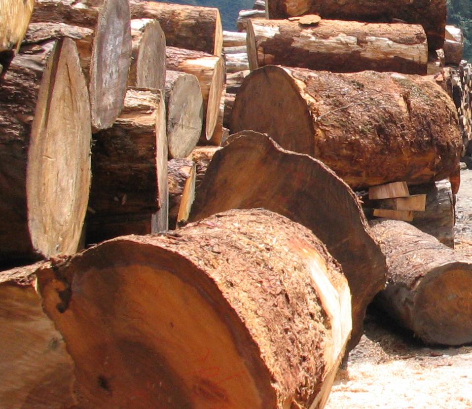 �c(di��n)���鿴�Fɼԭľ�Ŵ�DƬ