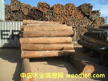 ���ԭľ��Ԕ��(x��)��B