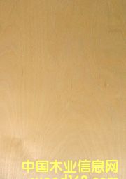 ��(gu��)�a(ch��n)��ľ