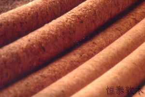 ܛľ����Ԕ��(x��)��B