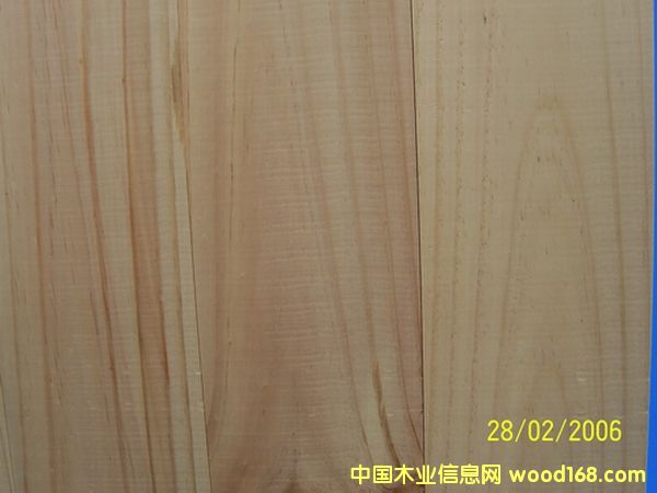 �����m��ľ��ĵ�Ԕ��(x��)��B