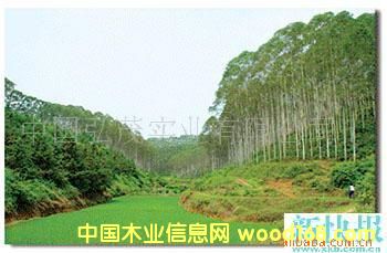 �֮a�I(y��)���̵�Ԕ����B