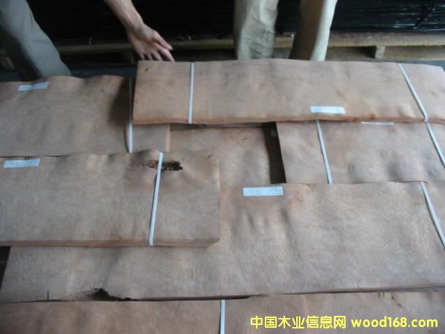 �c���鿴Madona burl�Ŵ�DƬ