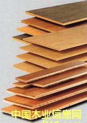 �c���鿴�z�ϰ�,�A��Ŵ�DƬ