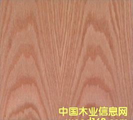 �t��ɽ�y��Ԕ����B