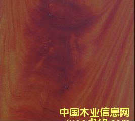 ����Ԕ����B