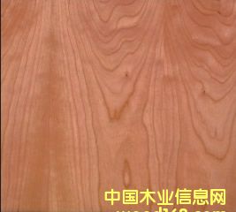 ����ɽ�y��Ԕ����B