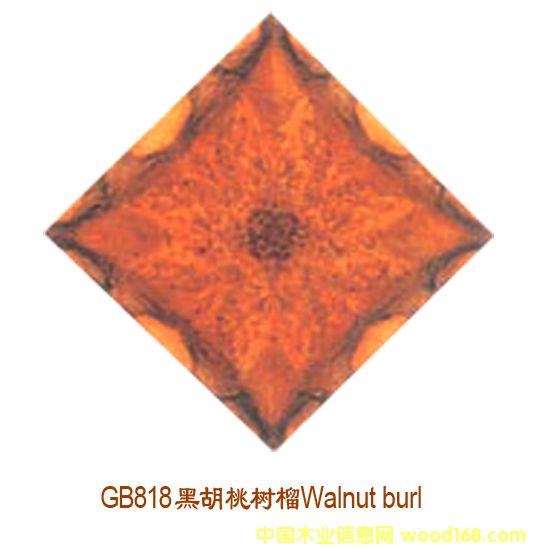 �ں��Ҙ����Ԕ��(x��)��B