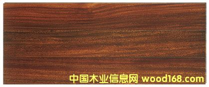 �A�P����Ԕ��(x��)��B