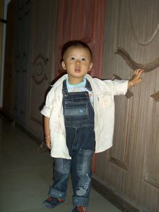 ����ľ�T��Ԕ��(x��)��B