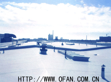 �S�����أ��S�����������潵�أ��S�����汣����䓽Y(ji��)��(g��u)�S������