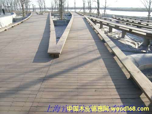 �Ϻ��˾�������Ԕ��(x��)��B