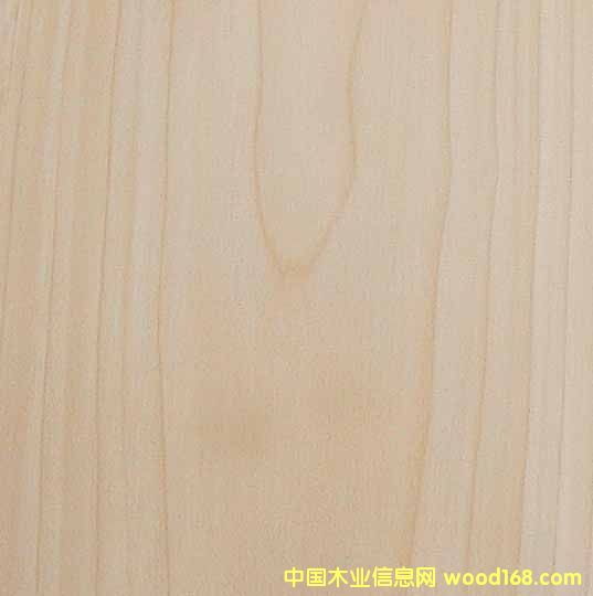 �b���Ԕ��(x��)��B