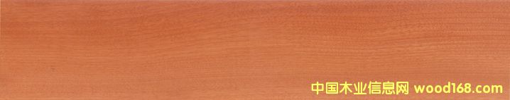 ��ľ��(sh��)ľ��(f��)�ϵذ��Ԕ��(x��)��B