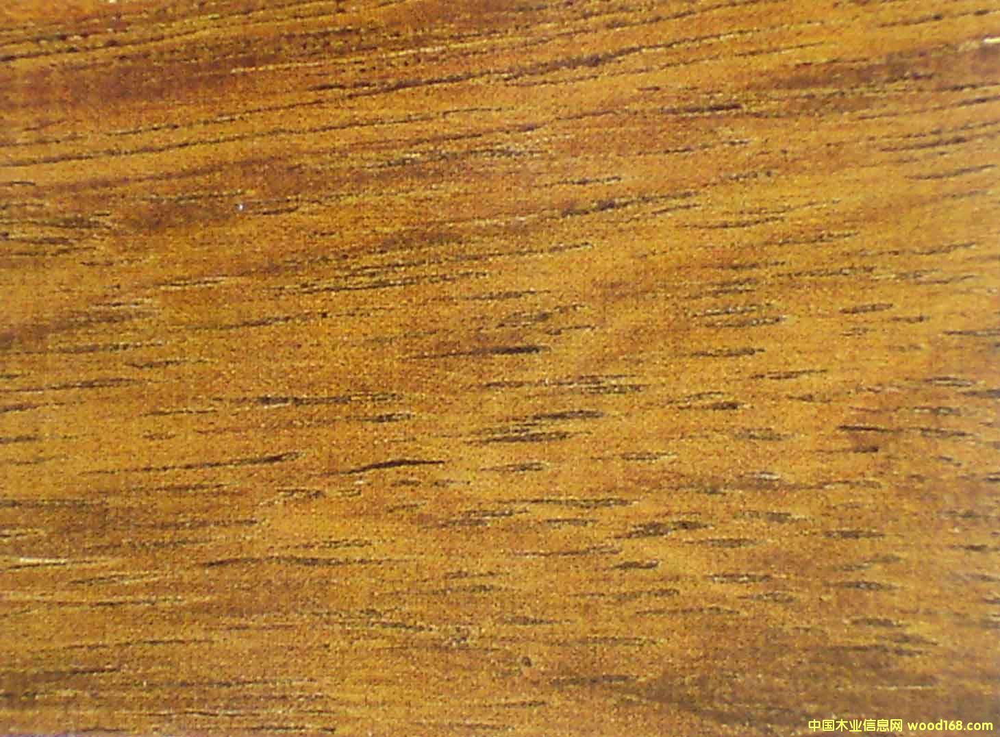 ӡ�Ფ�}���Ԕ����B