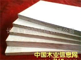 �p�x�C(j��)�_(t��i)���Ԕ��(x��)��B