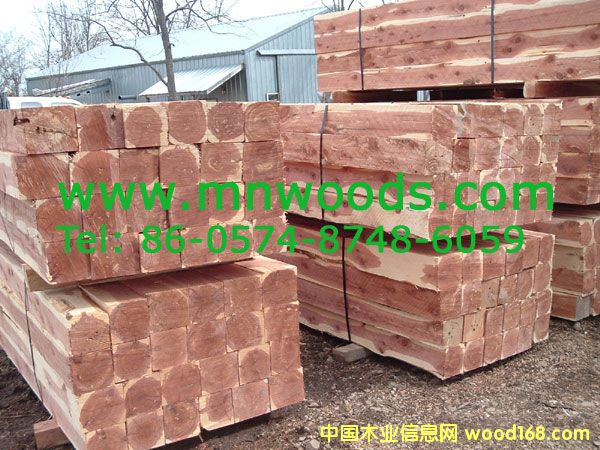 �������t��ɼ��Ԕ��(x��)��B