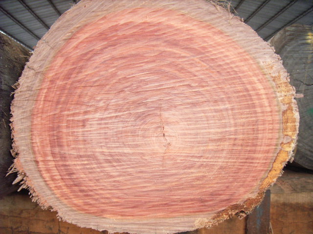 �Ĵ������t̴��Ԕ����B