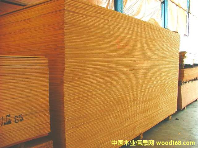 ��ľ����ľ���z�ϰ�����ľ����