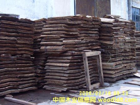 Ƥ�ӵ�Ԕ����B