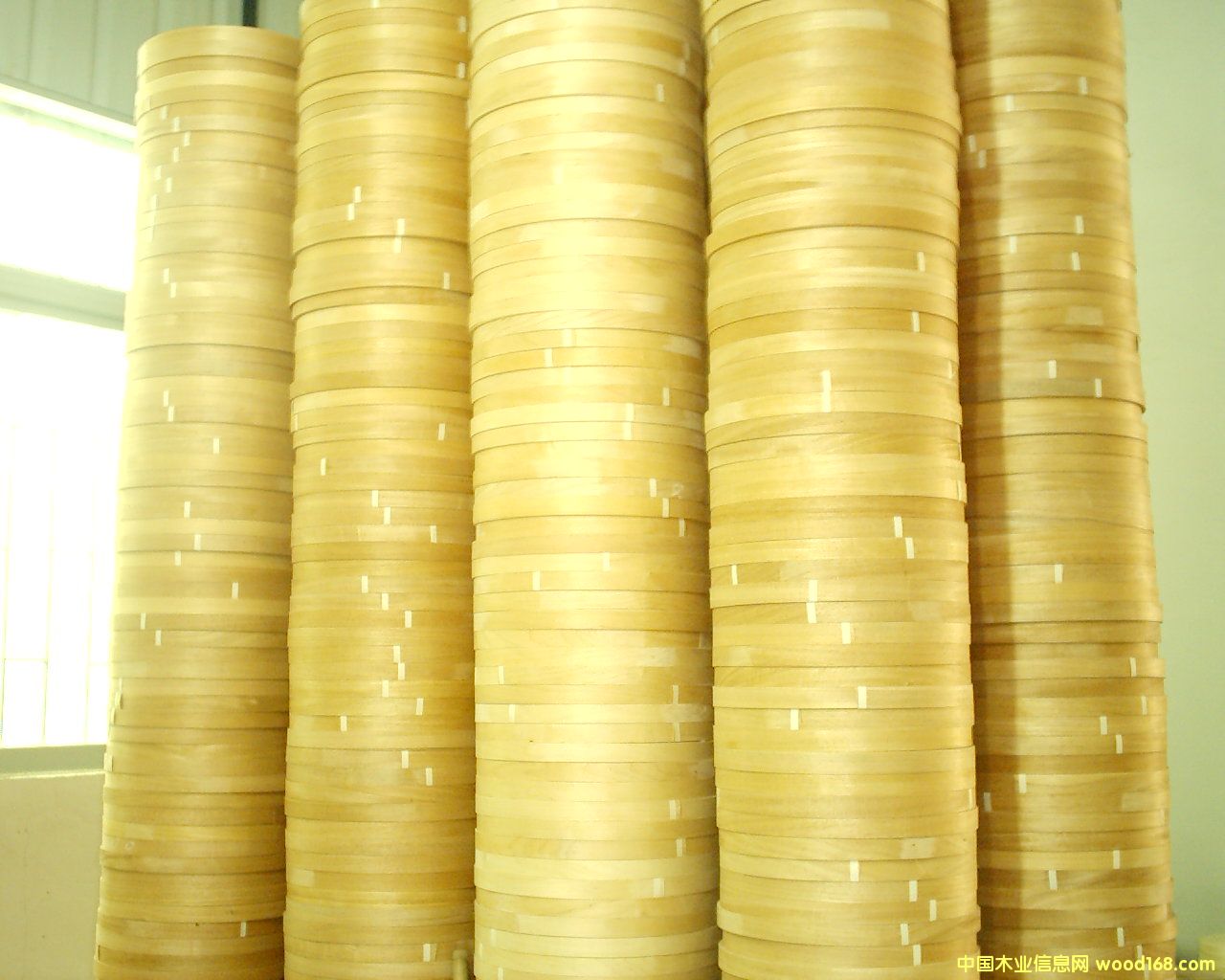 ľƤ��߅�l��Ԕ��(x��)��B