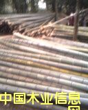 ����Ԕ��(x��)��B