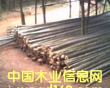 ���؛��(ch��ng)��Ԕ��(x��)��B